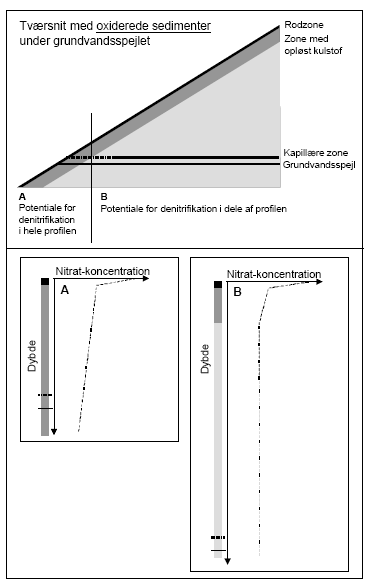 Figur 2. Potentialet for nitratreduktion i områder med iltede sedimenter såvel over som under grundvandsspejlet. Type A gælder for de områder hvor grundvandsspejlet findes indenfor de øverste ca. 5 meter og type B gælder for områder med dybereliggende grundvand.