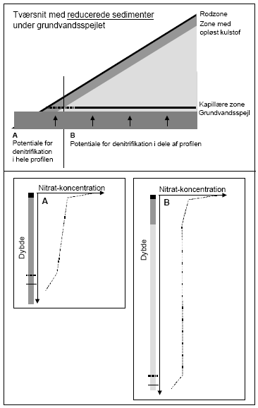 Figur 3. Potentialet for nitratreduktion i områder med reducerede sedimenter umiddelbart under grundvandsspejlet. Type A gælder for de områder hvor grundvandsspejlet findes indenfor de øverste ca. 5 meter og type B gælder for områder med dybereliggende grundvand.