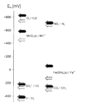 Figur 2.2. Redoxpotentialer for nogle af de vigtigste redoxpar i vand ved pH 7 (mørke pile) og pH 8 (lyse pile). Redoxpotentialerne er beregnet ved aktiviteterne {Red} = 1 og {Ox} = 1 samt formodede aktiviteter af Mn<sup>2+</sup> og Fe<sup>2+</sup> ved henholdsvis {Mn<sup>2+</sup>} = 10<sup>-6</sup> M og {Fe<sup>2+</sup>} = 10<sup>-6</sup> M (efter Sigg, 2000)