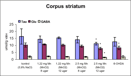 Figur 6. Koncentrationen af taurin (Tau), glutamat (Glu) og γ-aminosmørsyre (GABA) i corpus striatum fra rotter doseret intraperitonealt dagligt i 8 eller 12 uger med vehikel (kontrol, 0,9% NaCl), mangandioxid, manganklorid eller intracranialt ved stereotaktisk injektion (højre corpus striatum) af engangsdosis af 6-hydroxydopamin (6-OHDA).