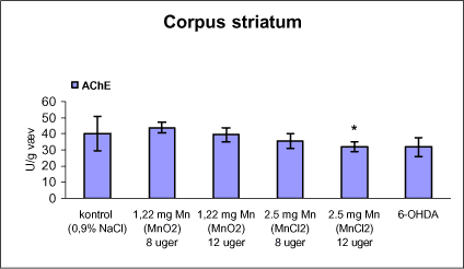 Figur 8. Enzymaktiviteten af acetylcholinesterase (AChE) i corpus striatum fra rotter doseret intraperitonealt dagligt i 8 eller 12 uger med vehikel (kontrol, 0,9% NaCl), mangandioxid, manganklorid eller intracranialt ved stereotaktisk injektion (højre corpus striatum) af engangsdosis af 6-hydroxydopamin (6-OHDA).