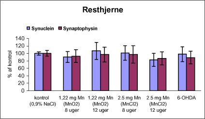Figur 13. Kvantitative målinger af α-synuclein og synaptophysin i resthjerne fra rotter doseret intraperitonealt dagligt i 8 eller 12 uger med vehikel (kontrol, 0,9% NaCl), mangandioxid, manganklorid eller intracranialt ved stereotaktisk injektion (højre corpus striatum) af engangsdosis af 6-hydroxydopamin (6-OHDA) ud fra western blots målt ved densitometri. Niveauet af aα-synuclein og synaptophysin er i % af kontrolholdet.