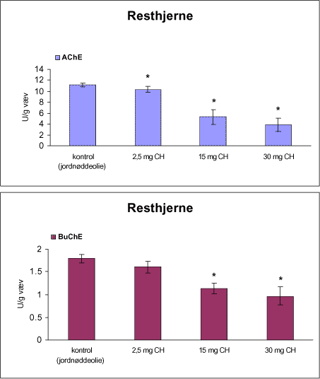Figur 19. Enzymaktiviteten af acetylcholinesterase (AChE) og butyrylcholinesterase (BuChE) i resthjerne fra rotter doseret subkutant en gang pr. uge i 12 uger med vehikel (kontrol, jordnøddeolie) eller chlorpyrifos (CH).