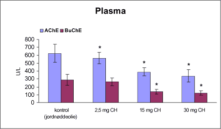 Figur 20. Enzymaktiviteten af acetylcholinesterase (AChE) og butyrylcholinesterase (BuChE) i plasma fra rotter doseret subkutant en gang pr. uge i 12 uger med vehikel (kontrol, jordnøddeolie) eller chlorpyrifos (CH).