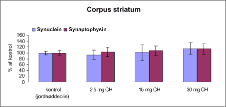 Figur 21. Kvantitative målinger af α-synuclein og synaptophysin i corpus striatum fra rotter doseret subkutant 1 gang pr. uge i 12 uger med vehikel (kontrol, jordnøddeolie) eller chlorpyrifos (CH) ud fra western blots målt ved densitometri. Niveauet af α-synuclein og synaptophysin er i % af kontrolholdet.