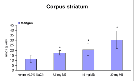 Figur 23. Koncentrationen af mangan i corpus striatum fra rotter doseret intraperitonealt 1 gang om ugen i 12 uger med vehikel (kontrol, 0,9% NaCl) eller maneb (MB).