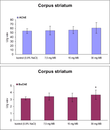 Figur 28. Enzymaktiviteten af acetylcholinesterase (AChE) og butyrylcholinesterase (BuChE) i corpus striatum fra rotter doseret intraperitonealt 1 gang om ugen i 12 uger med vehikel (kontrol, 0,9% NaCl) eller maneb (MB).