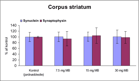 Figur 31. Kvantitative målinger af α-synuclein og synaptophysin i corpus striatum fra rotter doseret intraperitonealt 1 gang om ugen i 12 uger med vehikel (kontrol, 0,9% NaCl) eller maneb (MB) udfra western blots målt ved densitometri. Niveauet af α-synuclein og synaptophysin er i % af kontrolholdet.