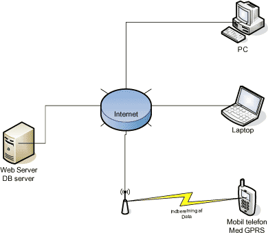 Figur 3.1: Oversigt over netværksarkitektur for kommunikation via Internettet.