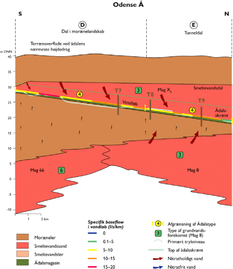 Figur 4.10. Skitse af geologisk opbygning ved Ådalstype 4 langs Odense Å (flerfarvet streg midt i profilet). Delvist efter Dahl et al. (2004).