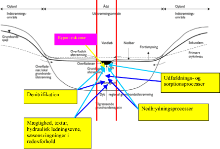 Figur 5.1 Vidensbehov i den ånære (hyporheiske) zone (fra Dahl et al., 2004).