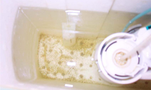 Figur 17. Renset og desinficeret gråt spildevand i toiletcisterne.