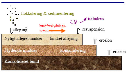 Figur 3.1 Skematisk fremstilling af den i MIKE21 MT anvendte beskrivelse af interaktion mellem bundsediment og suspenderet sediment.