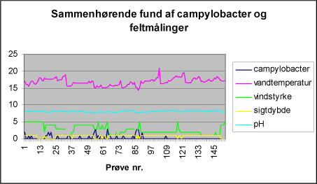 Figur 4: Indhold af campylobacter og sammenhørende feltmålinger i badevand.