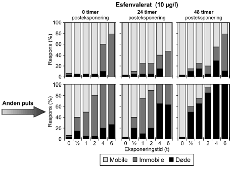 Figur 13: Fordelingen af Mobile, Immobile og Døde dafnier til tiderne t= 0, 24 og 48 timer efter gentagne pulseksponeringer med esfenvalerat (10 μg/l)