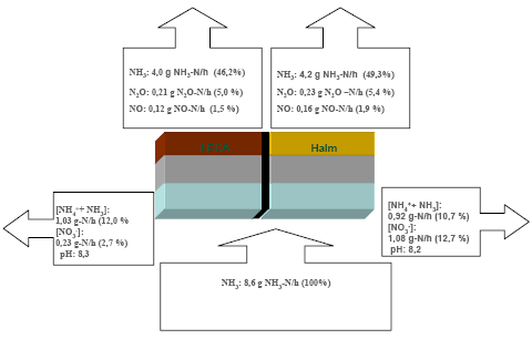 Figur 4.9 Kvælstofbalancen over filtret 1 og 2 er estimeret den 4. september 2005
