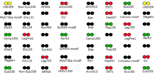 Figur 1: Placering af 16S rDNA-prober på patogen DNA-chip (prototype). DNA-prober til detektion af de 5 udvalgte patogene bakterier i projektet samt kontrol-prober er markeret med gul/grøn/rød farve svarende til det forventede signal på DNA-chippen (se tabel 1 og figur 2). Alle øvrige prober er markeret med sort. Spots uden probe-navn er tomme positioner på DNA-chippen.