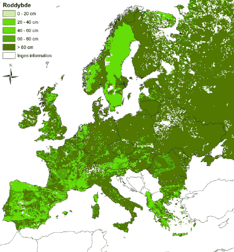 Figur 3-3 Dybde til lag, der hindrer rodudvikling. (Kilde: The Soil Portal http://eusoils.jrc.it, Soil & Waste Unit (Institute of Environment and Sustainability of the European Commission))