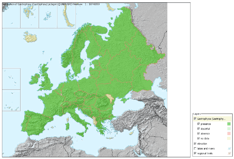 Figur 4-10 Pileurtbladbillens udbredelse i Europa.(Kilde: UNEP/GRID-Warsaw)