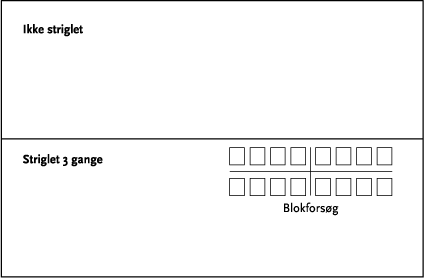 Figur 3.3. Skitse over forsøgsareal (én mark).