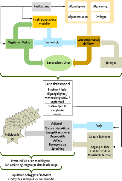 Figur 6. Diagrammatisk fremstilling af de faktorer, der alle påvirker de individuelle dyr, der modelleres i sanglærkemodellen.