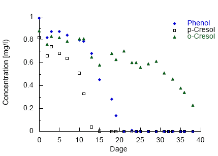 Figur 4.10: Anaerob nedbrydning af moderate koncentrationer (1 mg/l) af udvalgte phenoler under denitrificerende forhold. Batchforsøg med sandet jord fra den umættede zone (M12, 3m dybde) inkuberet ved 10 °C.