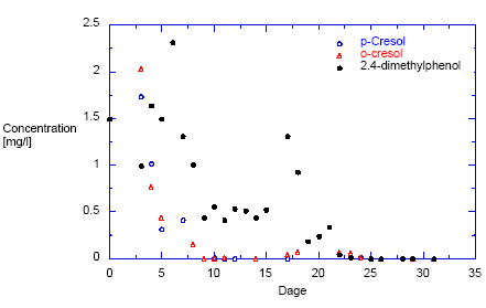 Figur 5.13: Nedbrydning af p-methylphenol, o-methylphenol og 2,4-dimethylphenol i pakkede kolonner (6 cm længde) med kontinuert flow (4.5 cm/time) under fuldt aerobe forhold.