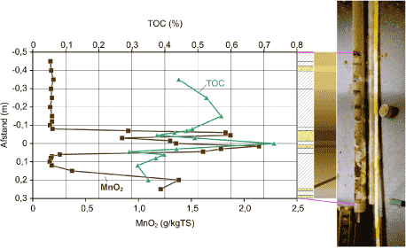 Figur 4.8: Sammenligning af TOC og MnO<sub>2</sub> profiler i M11 k3. 