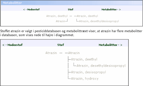 Figur 3.2: Skærmbillede fra pesticiddatabasen visende metabolittræer for Atrazin.