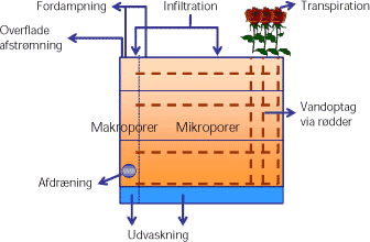 Figur 8.2: Opbygning af MACRO modellen (Larsbo og Jarvis, 2003).