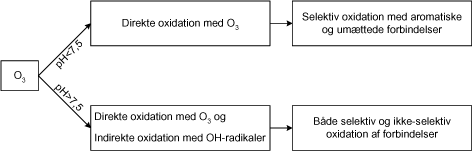 Figur 6.4.2 Ozons oxidationsmekanisme som funktion af pH (US EPA, 1999b).