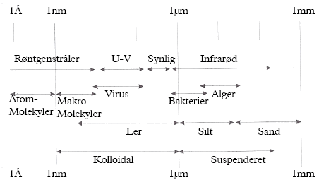 Figur 2.1. Størrelsesordener på forskellige kolloider sammenlagt med bølgelængder for lys (Ullum (2001))