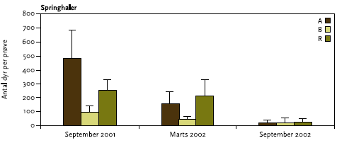 Figur 3.1 Gennemsnitlige antal springhaler samt standardafvigelser i de tre indsamlingsområder på tre tidspunkter, før (sep. 01), under (marts 02) og efter (sept. 02) dampinjektion.
