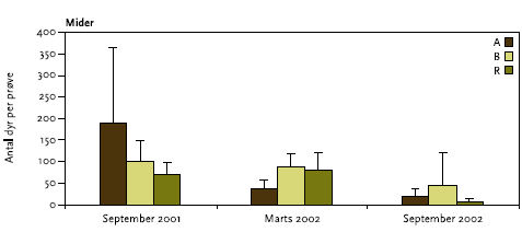 Figur 3.2.Gennemsnitlige antal mider samt standardafvigelser i de tre indsamlingsområder på tre tidspunkter, før (sep. 01), under (marts 02) og efter (sept. 02) dampinjektion
