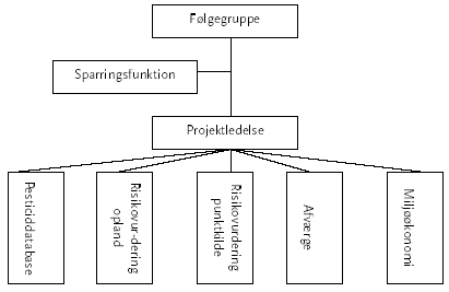 Figur 8.3 Organisationsdiagram for “Pesticider og punktkilder”
