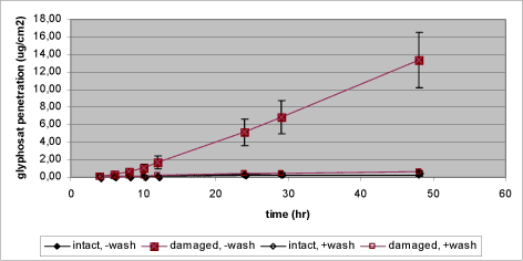 Figur 12. Effekt af afvaskning af huden på den dermale penetration af glyphosat gennem henholdsvis ubeskadiget og lettere beskadiget hud. Hvert datapunkt repræsenterer et gennemsnit af 12-14 enkeltmålinger <em>+</em>SEM. Efter 6 timer fjernes glyphosat fra alle donorkamre, hvorefter kamrene i to forsøgsserier vaskes i svag sæbeopløsning efterfulgt af skylning i vand (+wash).