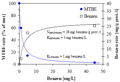 Figur 2.11: Relative MTBE-rater som funktion af benzenkoncentrationen samt Michaelis-Menten kurve for benzen.