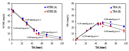 Figur 2.18: Nedbrydningsrater for MTBE og netto-rater for TBA i to forskellige tidsrum.