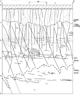 Figur 33 Principskitse der viser typiske sprækkesystemer i moræneler. De øverste ikke opspækkede lag er pløjelaget, typisk ca 30 cm. dybt. Under pløjesålen findes en zone der rækker godt en meter ned. Den er opsprækket af tørkesprækker (skabt ved udtørring af leret), rodkanaler og regnormegange. Under denne zone findes de såkaldte struktursprækker eller tektoniske sprækker, der er formet af isens tryk og bevægelser. I denne zone forekommer såvel vertikale som horisontale sprækker. Sprækkesystemerne kommunikerer sædvanligvis (er vandledende) og sprækkerne kan nå meget dybt(5-10 m), dog falder antallet med dybden. Skitsen udarbejdet af Knud Erik Klint (GEUS)