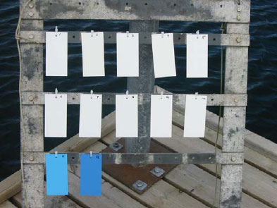 Foto 1.2 - Raft med 12 paneler før nedsænkning i havnen.