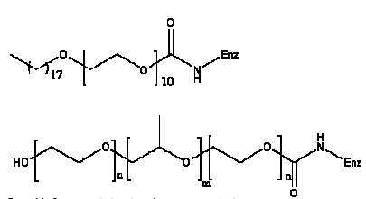 Figur 1.1 - Overordnet struktur på molekylmodifikationerne.
