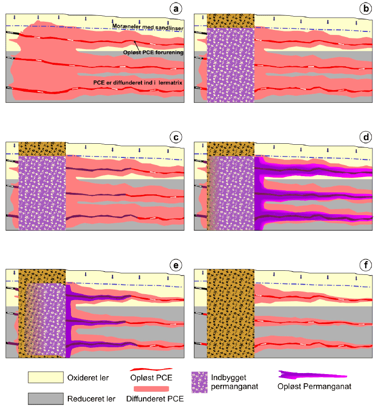 Figur 8.1: Konceptuel model for oprensning af PCE i moræneler med sandlinser.