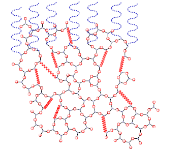 Figur 3.6: Overflademodificeret Sol-Gel belægning. Blå bølgestreger symboliserer overflademigrerende additiver, der fx mindsker overfladeenergien betydeligt. Silicium-atomer små/blå, ilt-atomer store/røde, rød zig-zag linie angiver en fleksible organisk sidekæde, stiplet blå bølgelinie angiver et overfladelokaliseret additiv.