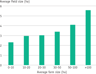 3. Size of farms and fields: Average field size
