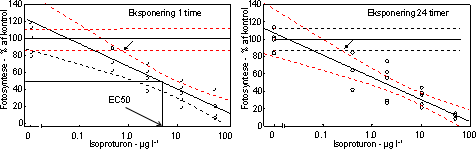 Figur 7. Dosis-respons relation for bentiske mikroalger eksponeret til isoproturon i 1 time (venstre) og 24 timer (højre). Skæringen (angivet med pil) mellem nedre konfidensgrænse for kontrolgruppen og den øvre konfidensgrænse for de eksponerede alger angiver den laveste signifikante effektkoncentration. Pilen nederst angiver den koncentration, som hæmmer fotosyntesen med 50% sammenlignet med kontrollen.