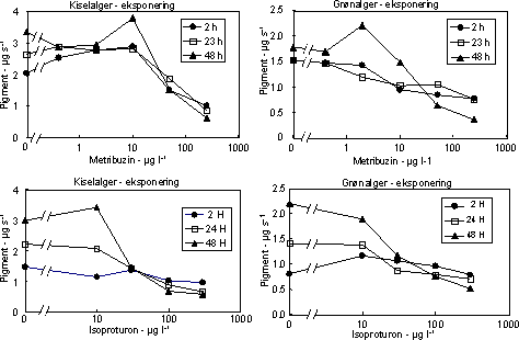 Figur 9. Effekt af fotosyntesehæmmere metribuzin (øverst) og isoproturon (nederst) på biomassen af kiselalger (venstre) og grønalger (højre) ved forskellig eksponeringsvarighed (2, 24 og 48 timer). Værdierne angiver et gennemsnit (µg diagnostisk pigment per glasskive) af 3 replikater. Bemærk at forsøgene med isoproturon ikke er de samme som vist i Figur 7.