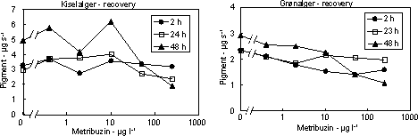 Figur 10. Koncentration af kiselalger (venstre) og grønalger (højre) efter eksponering til metribuzin i 2, 24 og 48 timer og efterfølgende ophold i rent åvand i 48 timer. Værdierne angiver et gennemsnit af 3 replikater.