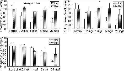 Figur 12. Fotosynteseaktivitet af bentiske mikroalger efter eksponering til azoxystrobin Søjlerne angiver den gennemsnitlige aktivitet (95 % konfidensgrænse) i procent af den korresponderende kontrol efter eksponering (hvide søjler) i 2 (øverst), 24 og 48 (nederst) timer samt efter 48 timers periode i rent vand (skraverede søjler).