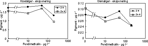 Figur 17. Effekt af pendimethalin på biomassen af kiselalger (venstre) og grønalger (højre) efter eksponering i 2 og 24 timer. Værdierne angiver et gennemsnit af 3 replikater.