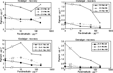 Figur 18. Koncentration af kiselalger (venstre) og grønalger (højre) efter eksponering til pendimethalin i 2 timer (øverst) og 24 timer (nederst) og efterfølgende ophold i rent åvand i 48, 96 og 192 timer. Værdierne angiver et gennemsnit af 3 replikater.